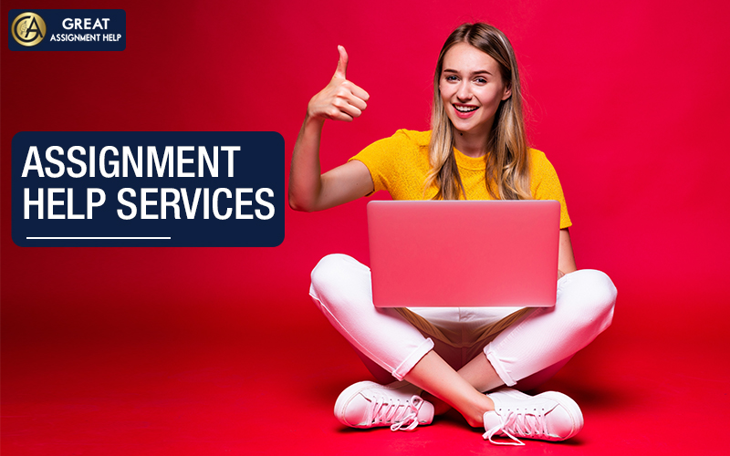 Best online assignment professionals in the industry are at your service