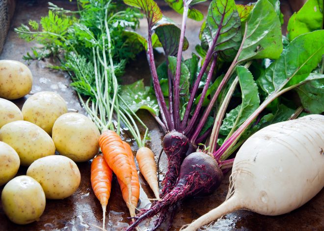 MEN CAN BENEFIT FROM ROOT VEGETABLES