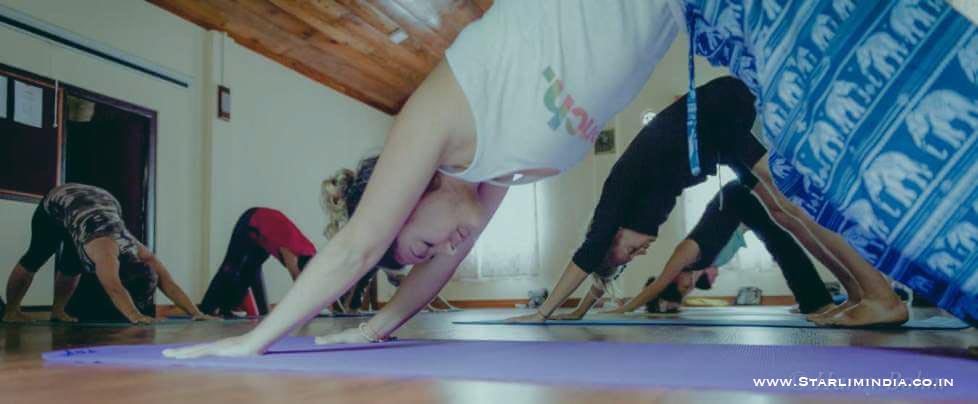 Residential 200 Hour Hatha Yoga Teacher Training in Himalaya