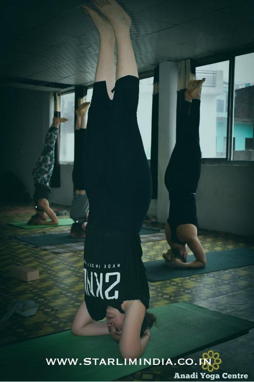 500-hour-yoga-teacher-training-course-anadi-yoga-centre 500-hour-yoga-teacher-training-course-anadi-yoga-centre