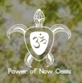 Power of Now Oasis - RYS 200